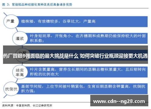 药厂晋级8强面临的最大挑战是什么 如何突破行业瓶颈迎接更大机遇